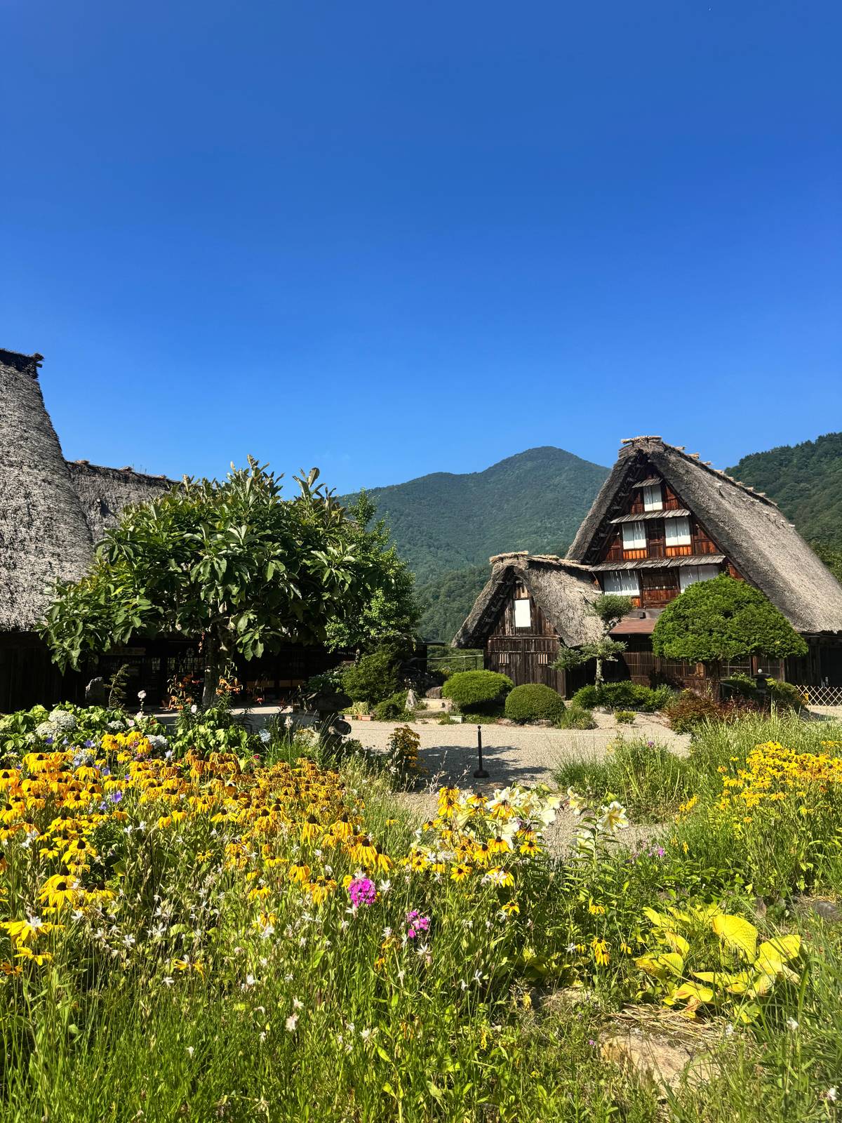 One-Way Bus: Kanazawa to Takayama with a Stop at Shirakawa-go