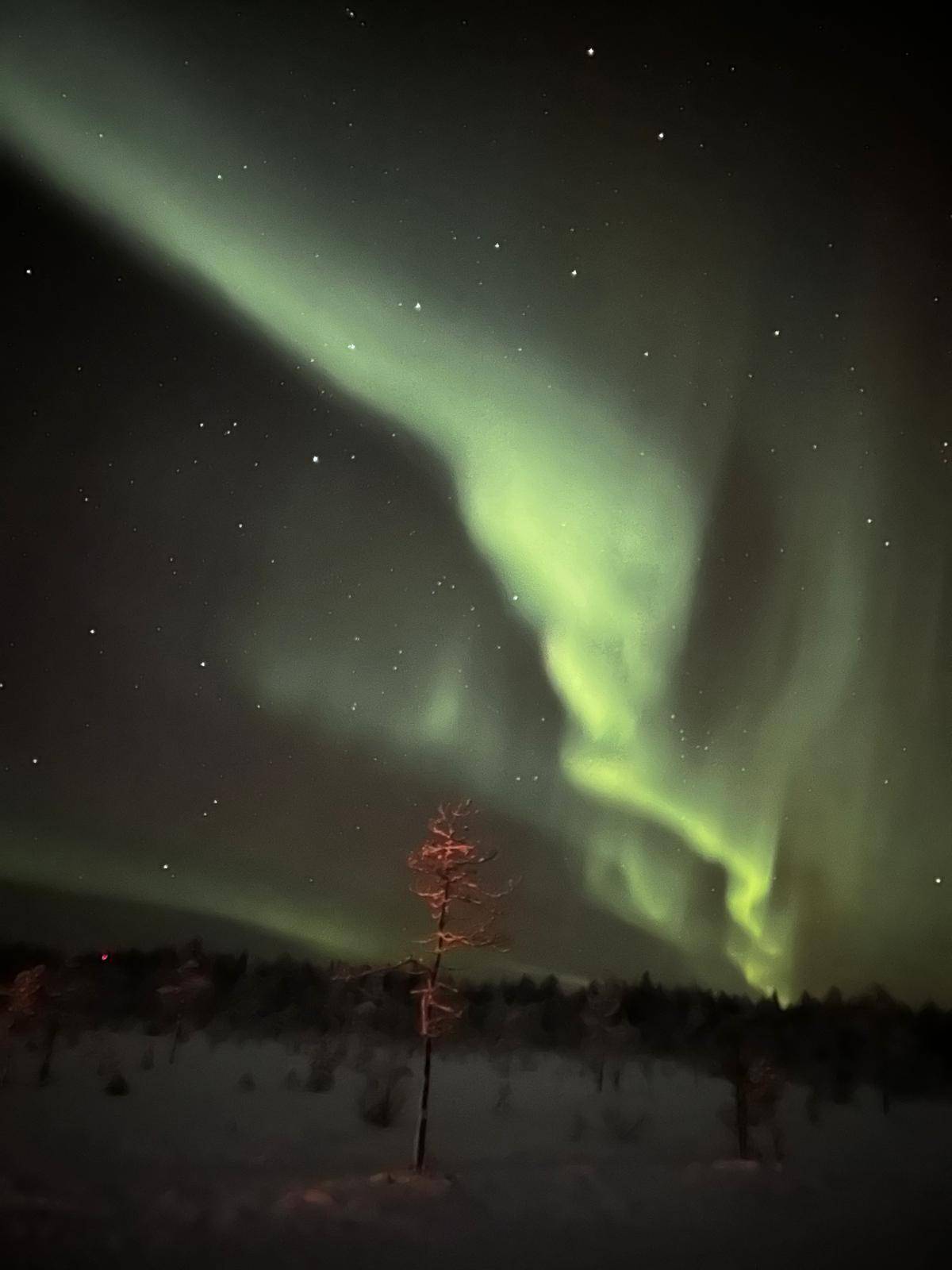 Rovaniemi: Snowtrain to Northern Lights Camp