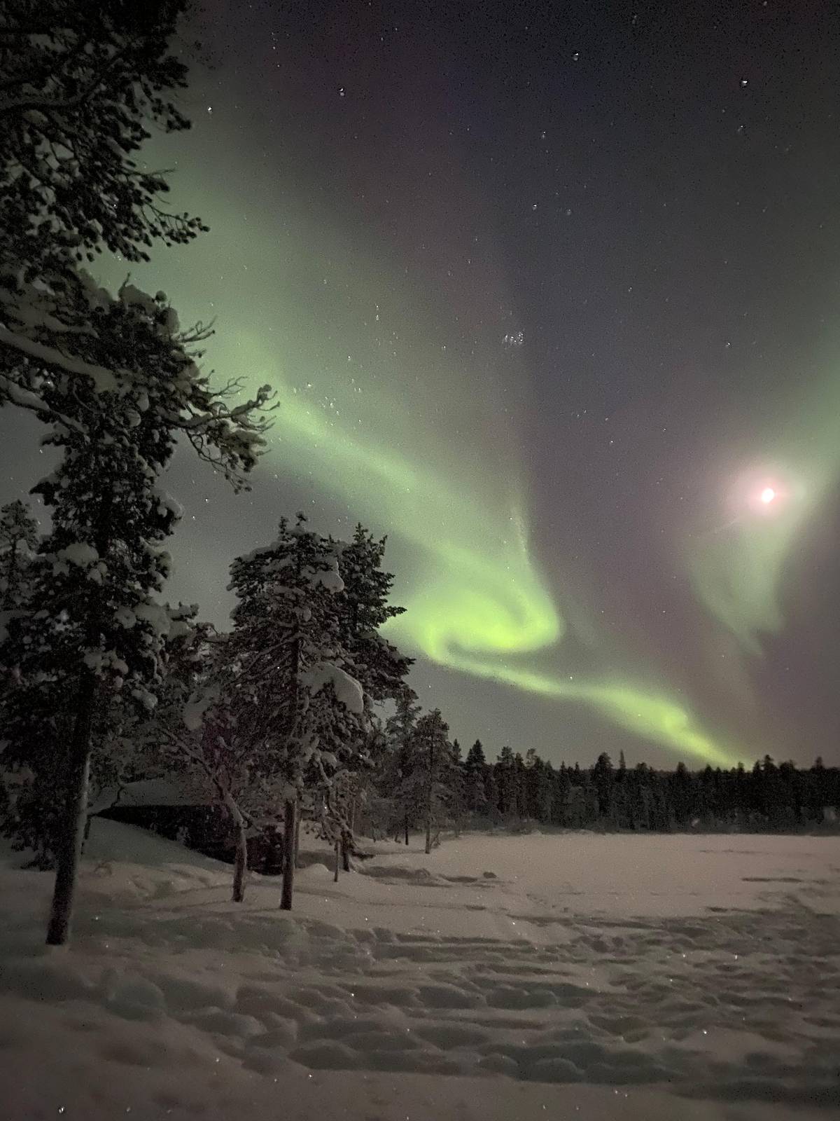 Moonlight and aurora over a snowy clearing
