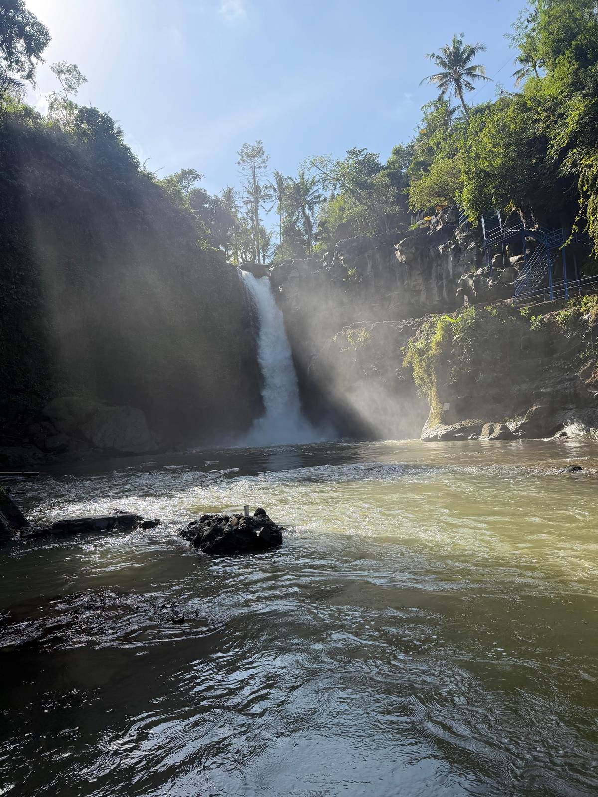 Ubud: Waterfall, Rice Terraces and Monkey Forest Private Tour