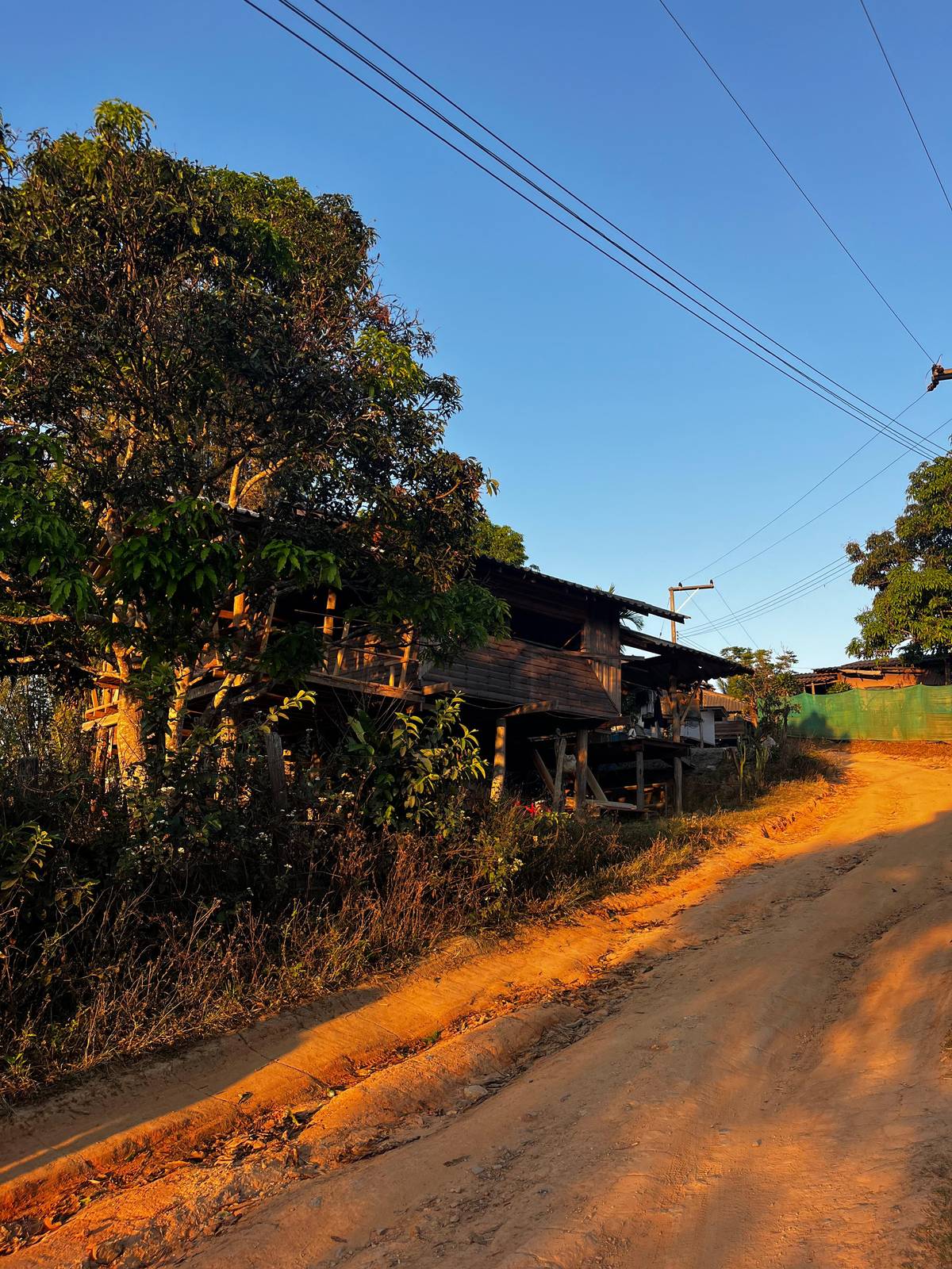 Chiang Mai trekking for 3 days or 2, with a hill tribe homestay