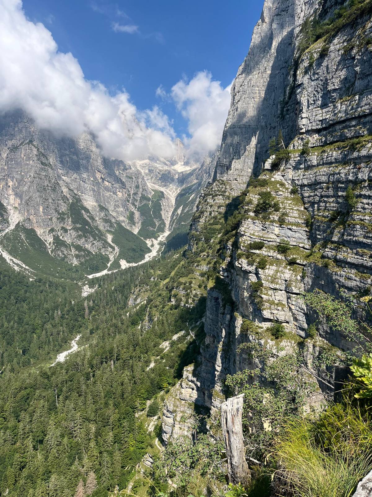 Pale walls rising over a wooded valley in the Brenta