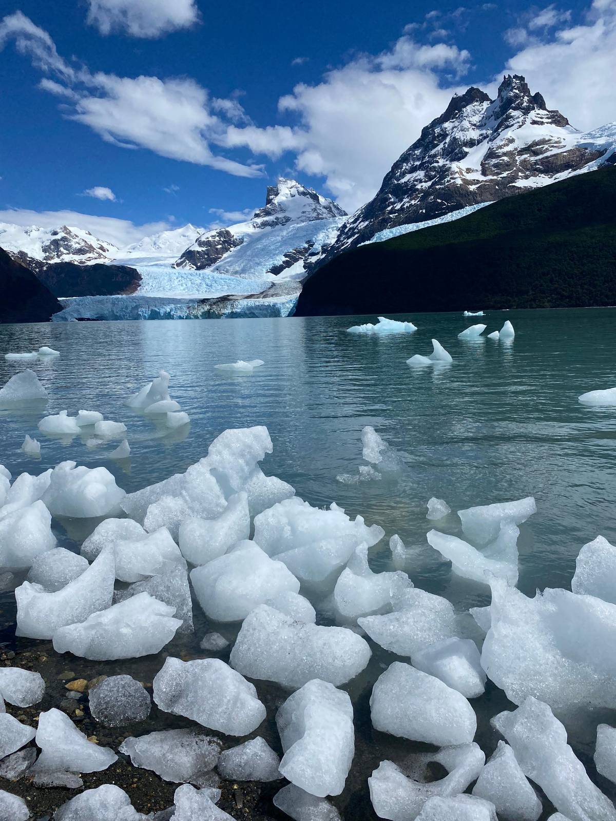 El Calafate: Lake Argentino Upsala Channel Glaciers Cruise
