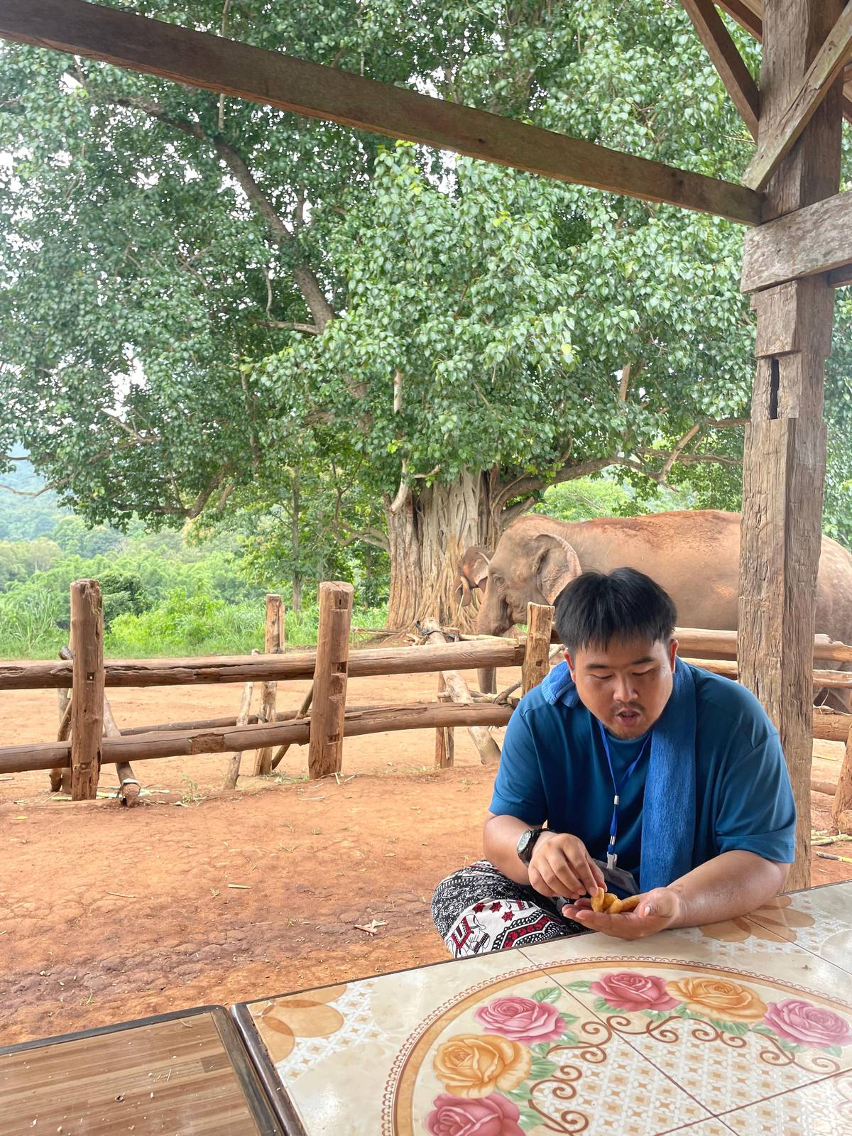 Elephant care programs in Chiang Mai: a day as a keeper