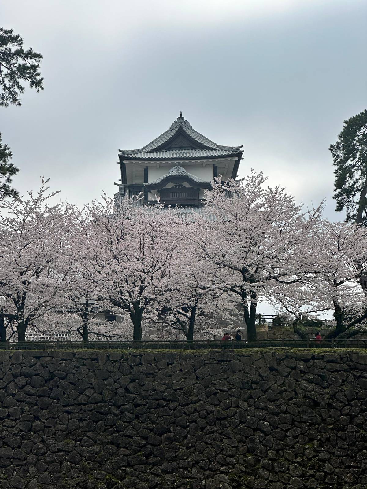 Castle and samurai walk in Kanazawa