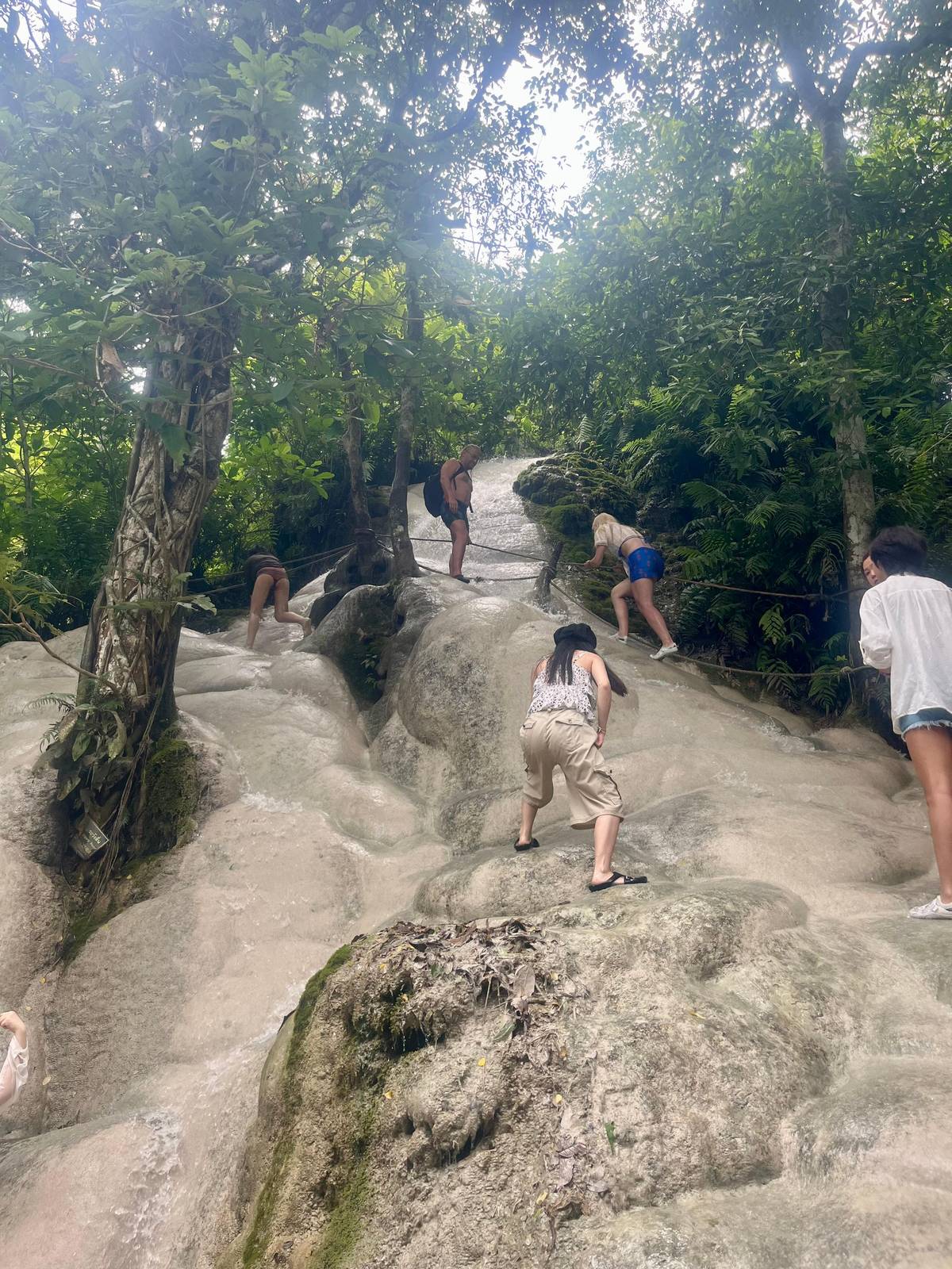 Visitors climbing the pale limestone of the Sticky Waterfall
