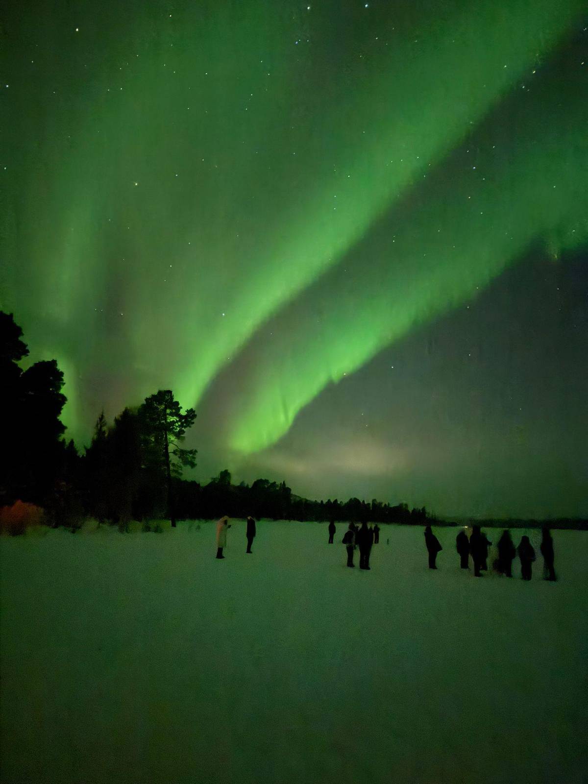Saariselkä Aurora Hunt with Photos