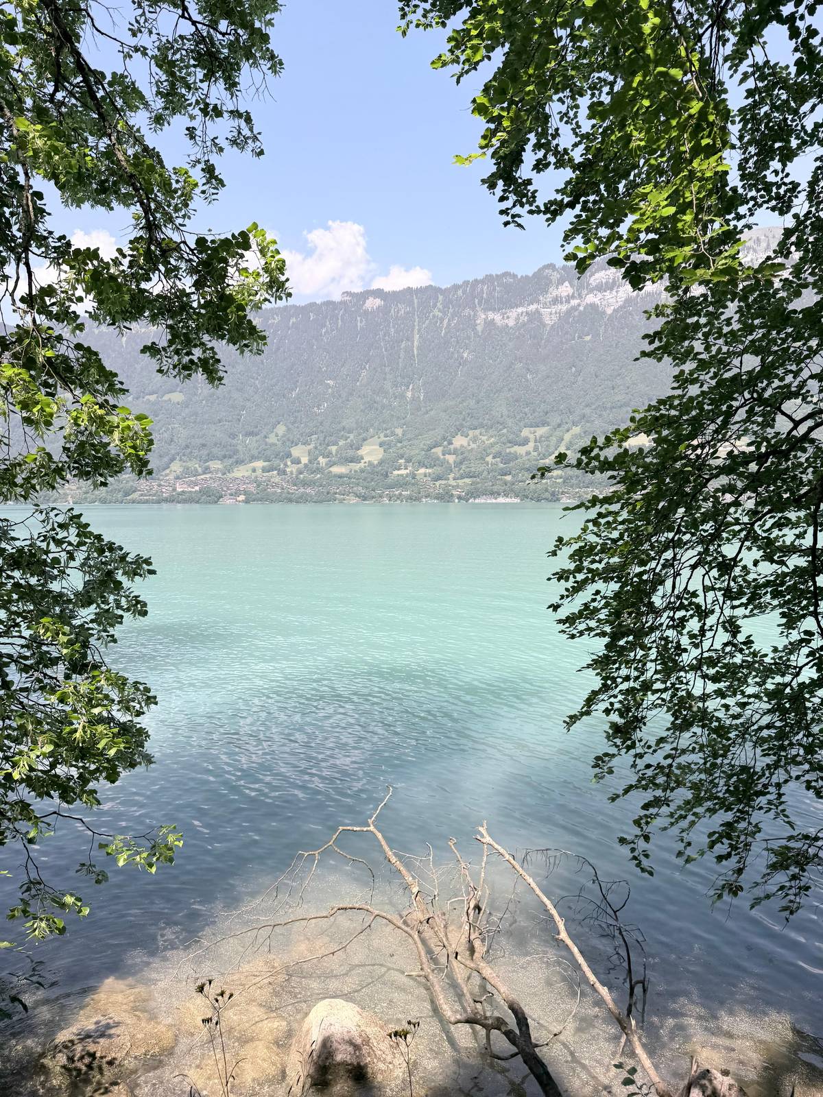 Interlaken: E-Quad Tour to Iseltwald and Lake Brienz
