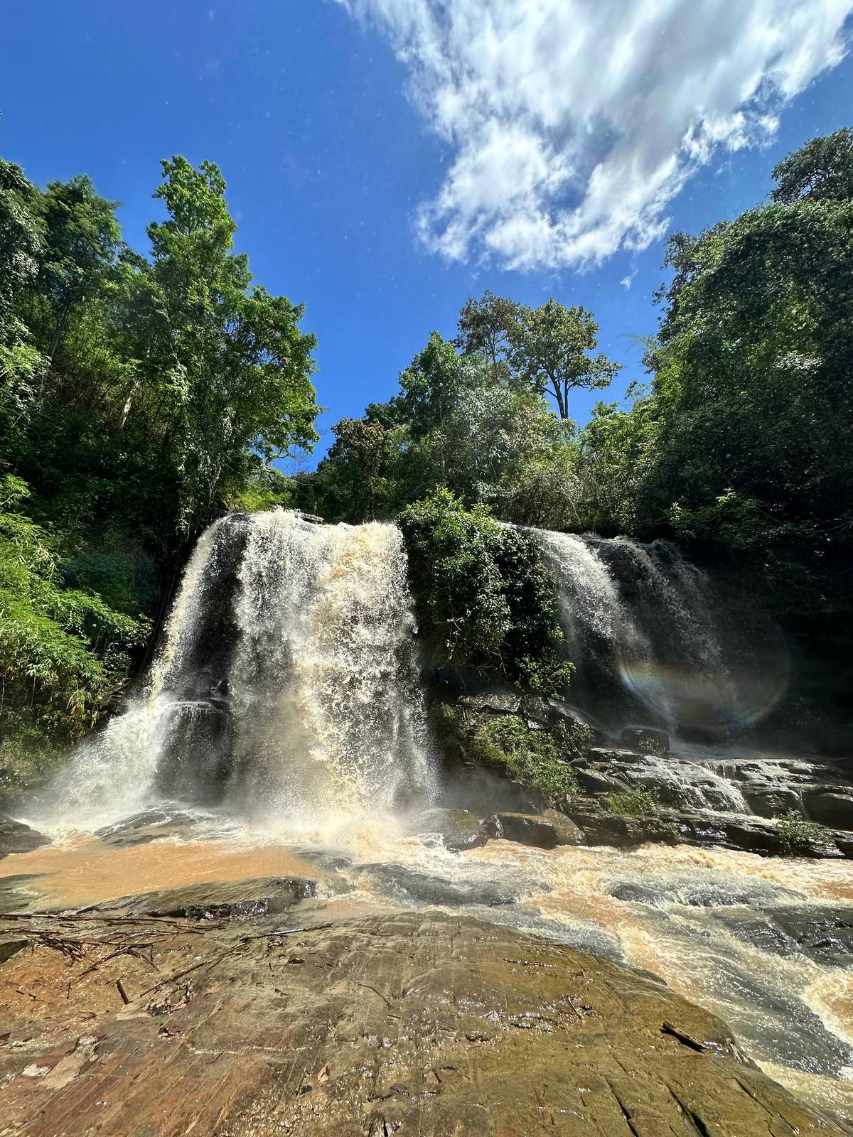 A broad waterfall dropping over a ledge in the forest