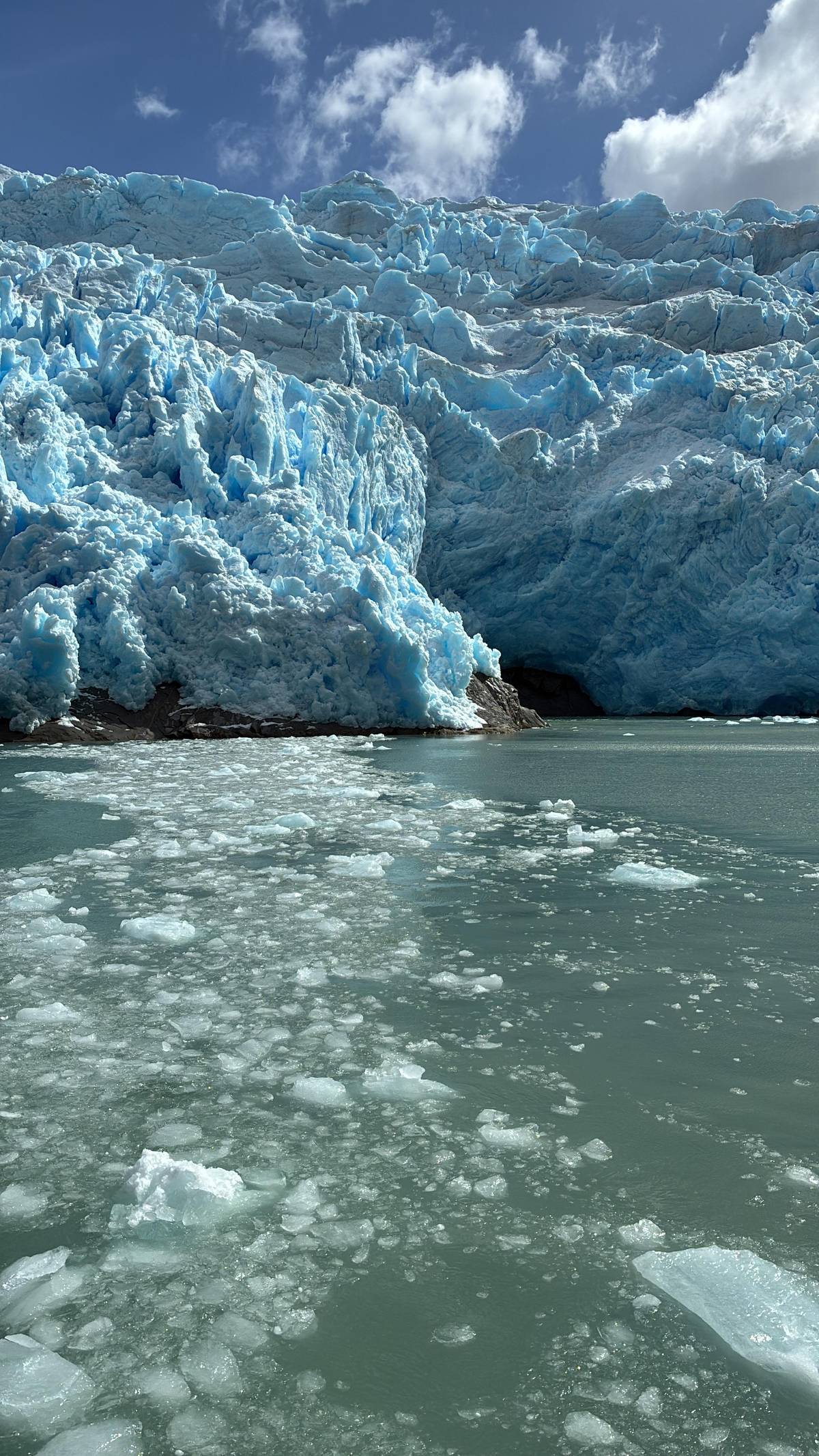 Whales and Glaciers Full Day from Punta Arenas