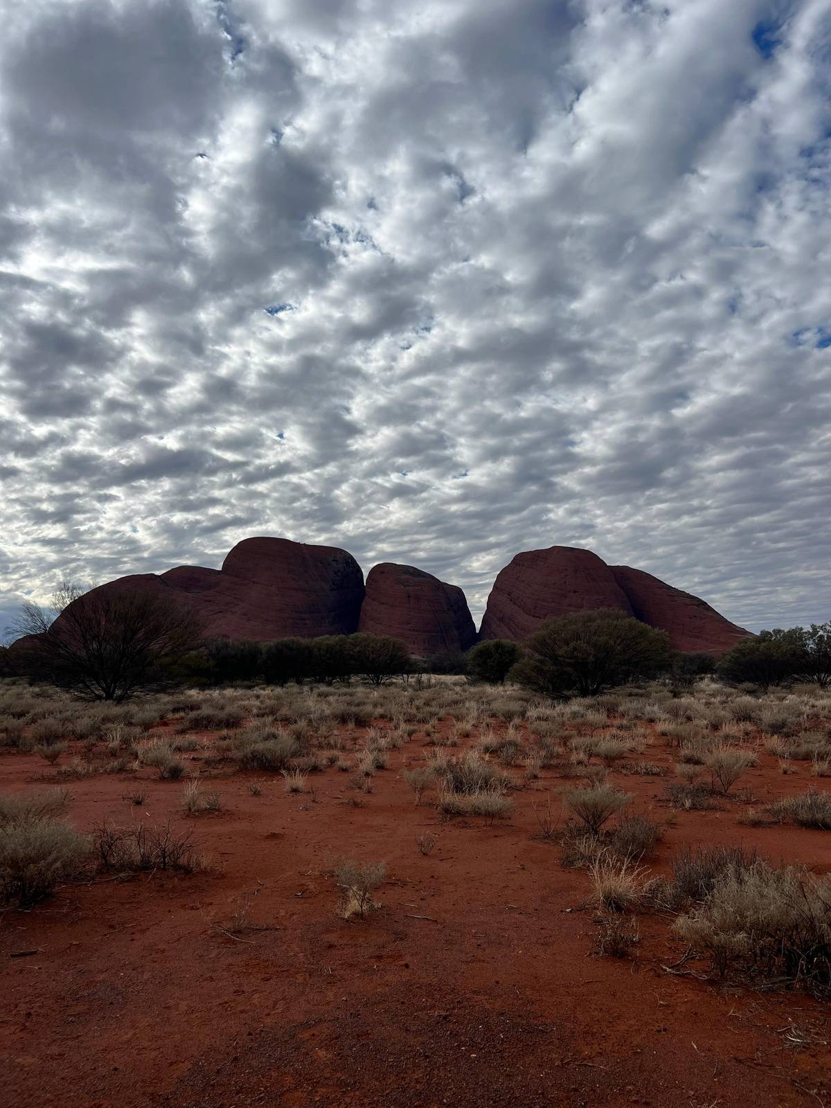 The domes of Kata Tjuta under a mackerel sky