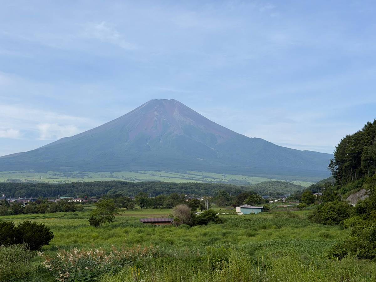 Tokyo: Mt. Fuji Customizable & Private Tour with chauffeur