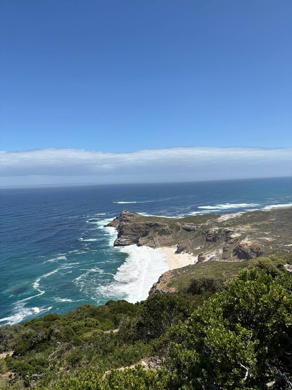 Cape Peninsula and Penguin Colony Full-Day Tour