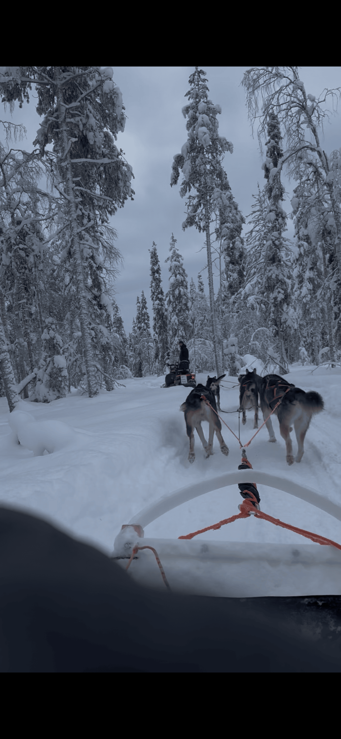Levi 7 km self-drive husky safari