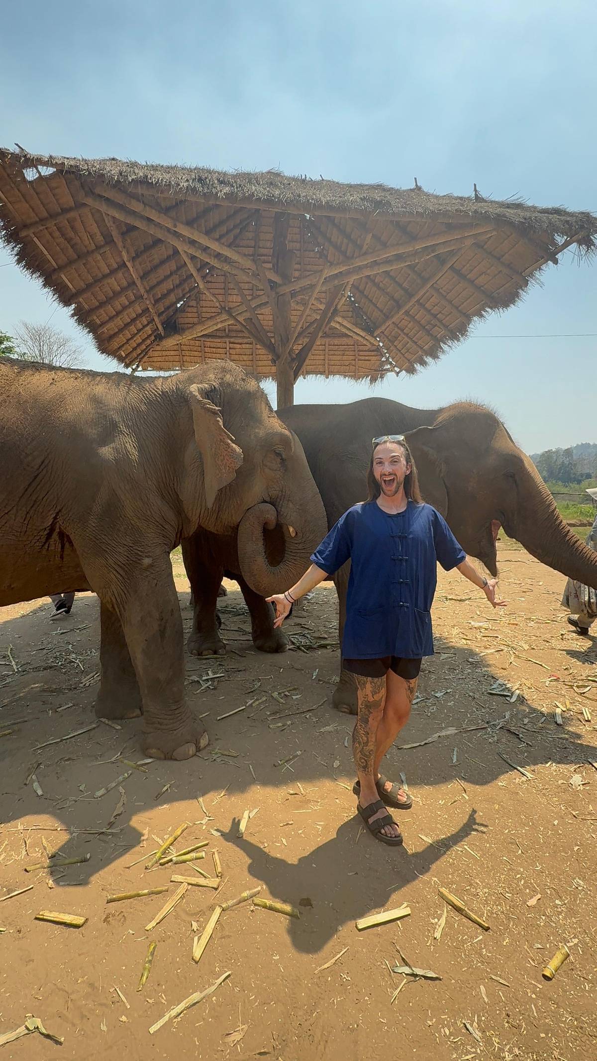 Chiang Mai: Elephant Sanctuary Bamboo Raft & Padthai Cooking