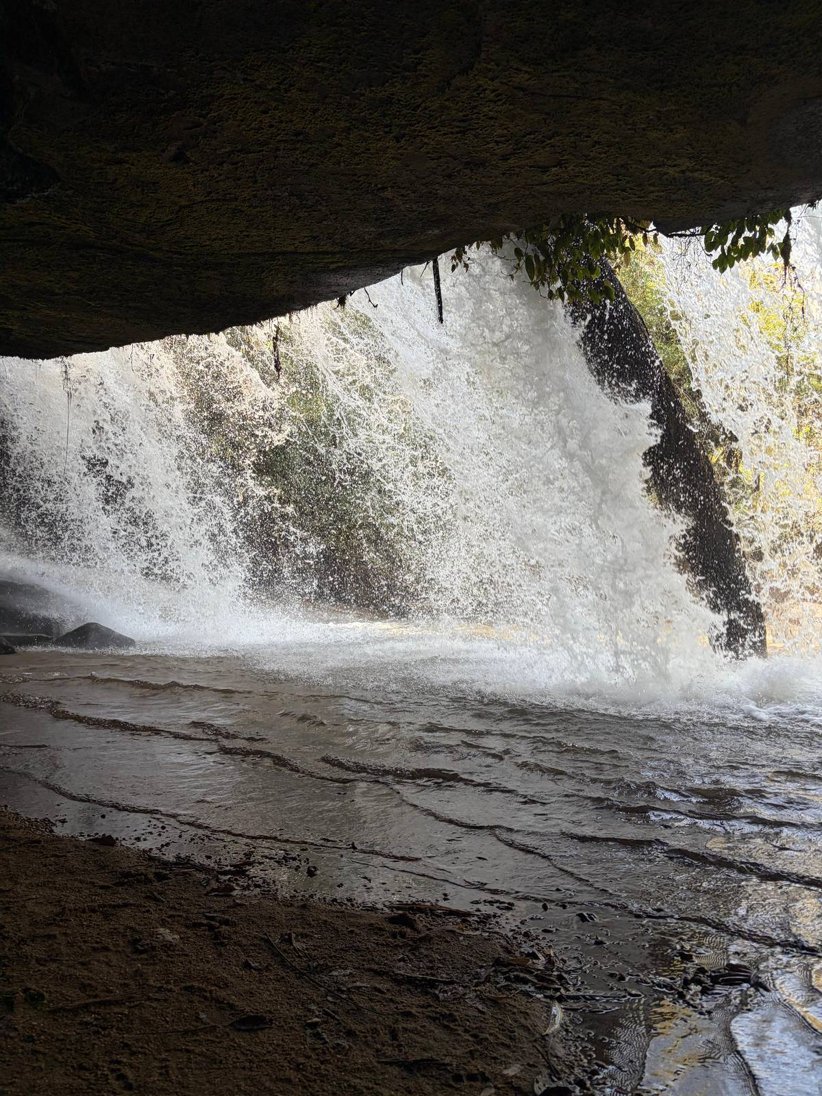 Chiang Mai: 2-Days Jungle Trek, Waterfalls and Karen Village