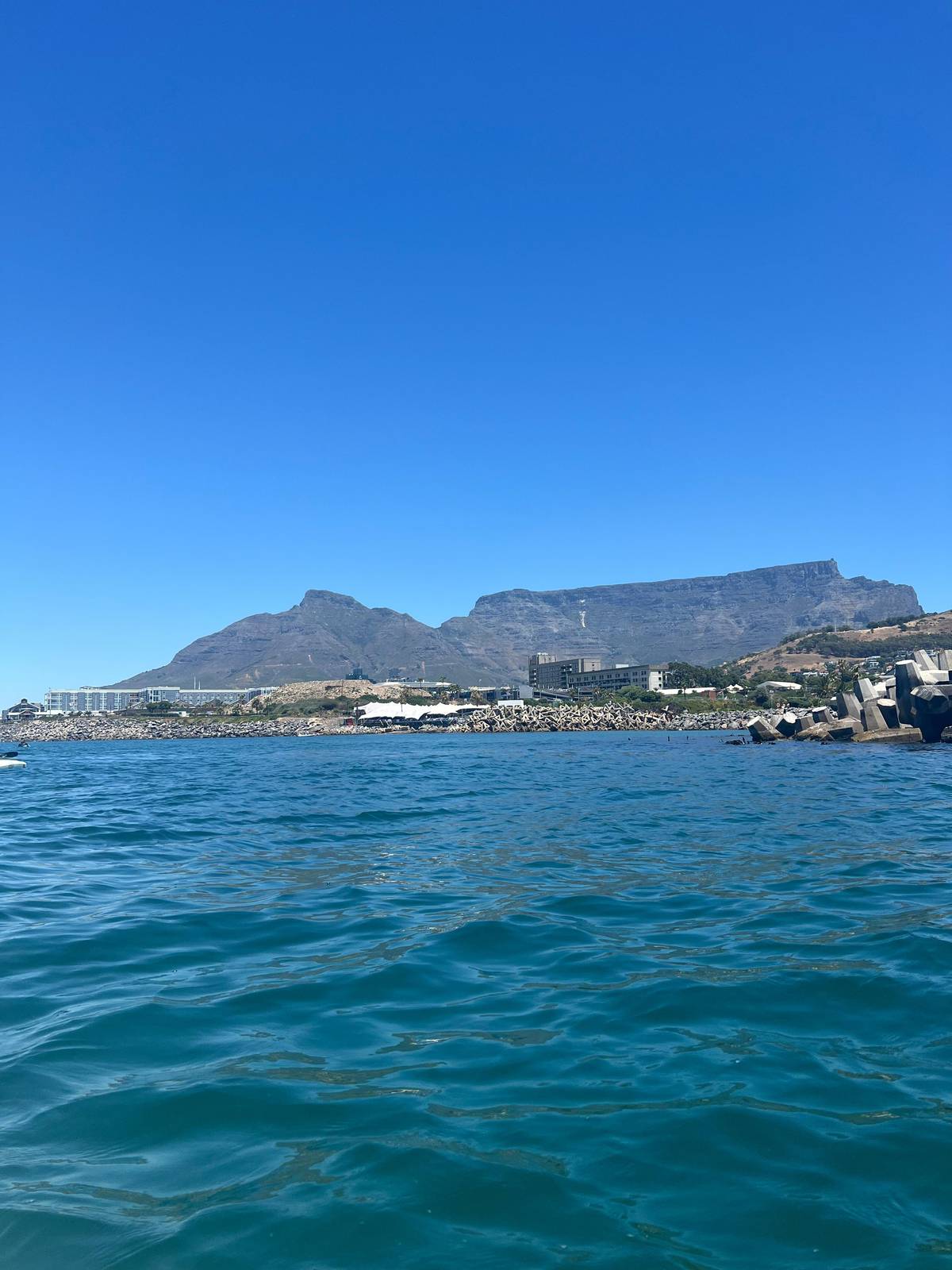 Cape Town: Marine Life Kayak Tour From the V&A Waterfront