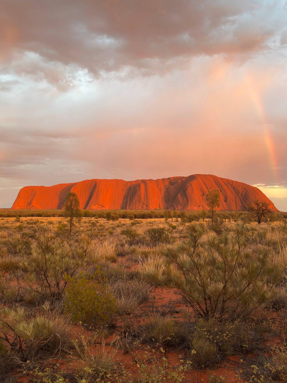Uluru glowing red with a rainbow behind