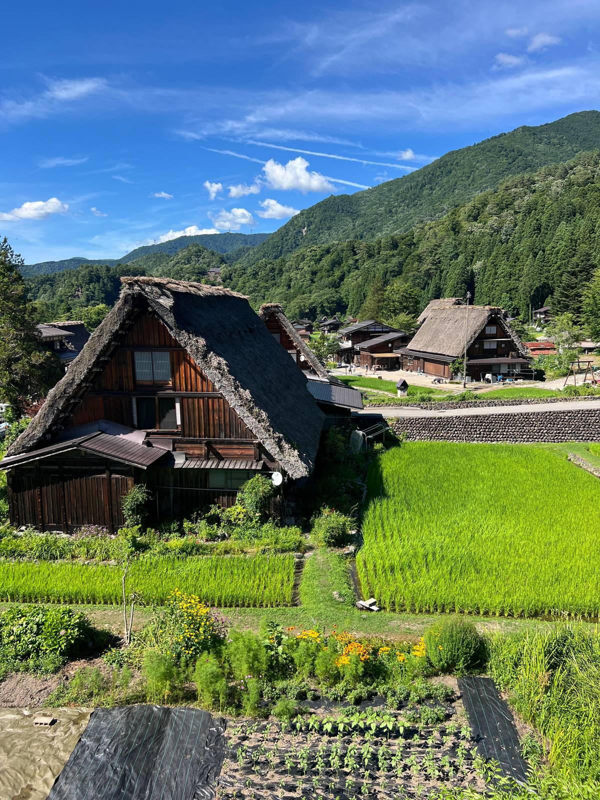 From Kanazawa: Shirakawa-go, Gokayama and Wood Carving Art
