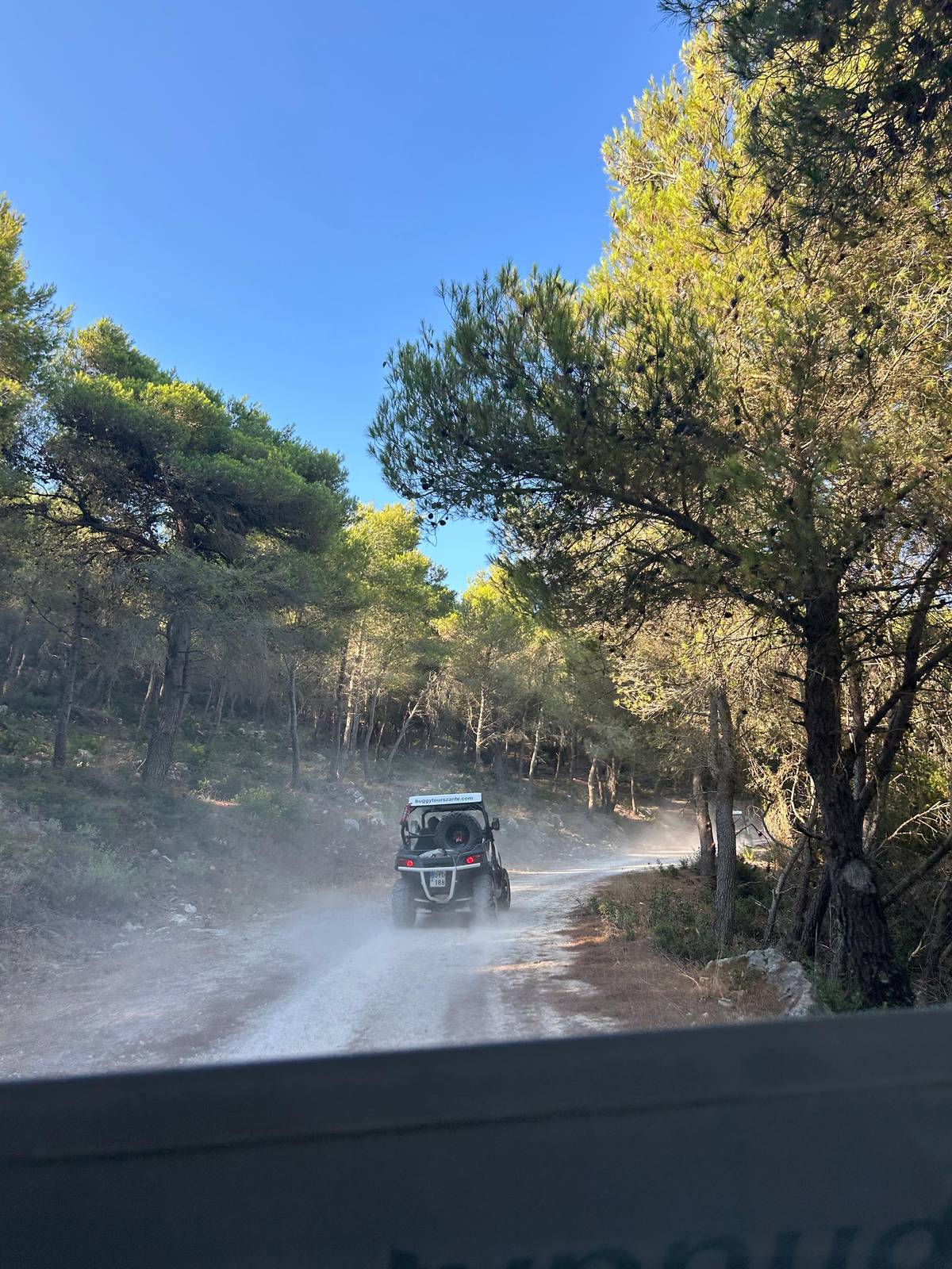 A buggy raising dust on a forest track