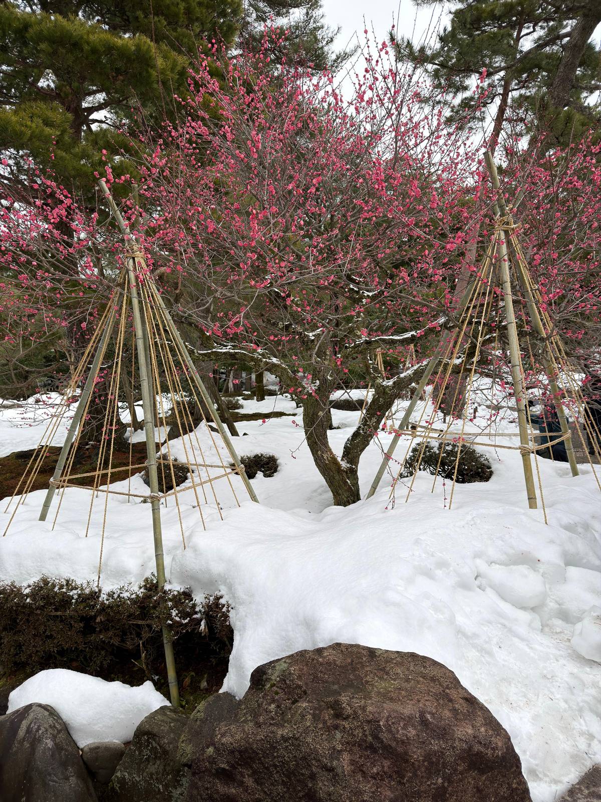 Kanazawa: Private Walking Tour with a Local