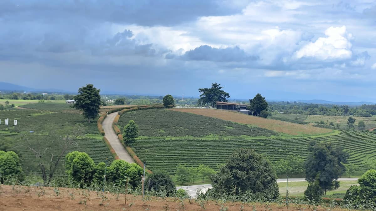 Chiang Rai: Guided Highlights Full-Day Tour with Free Lunch Buffet