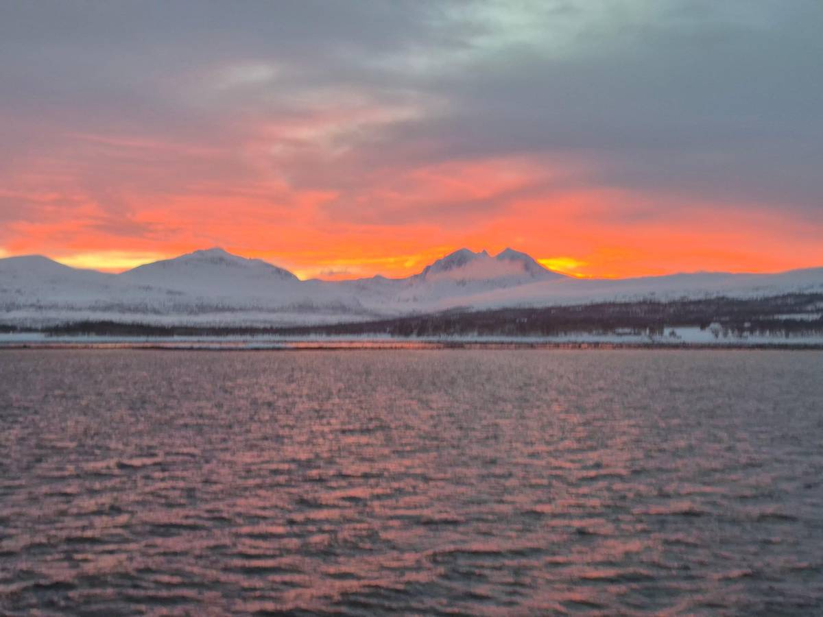 Twilight over the fjord
