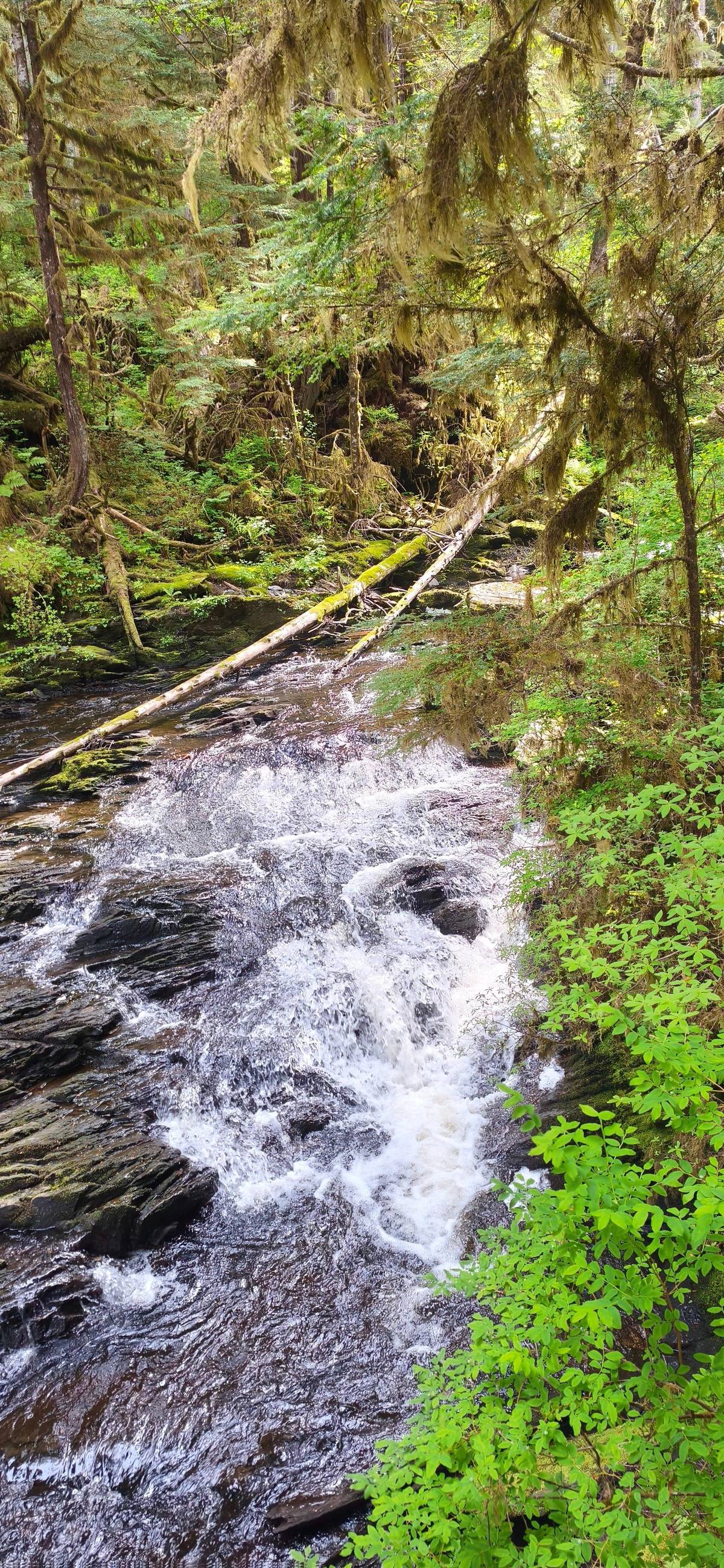 Ketchikan: E-Bike and Hike Tour