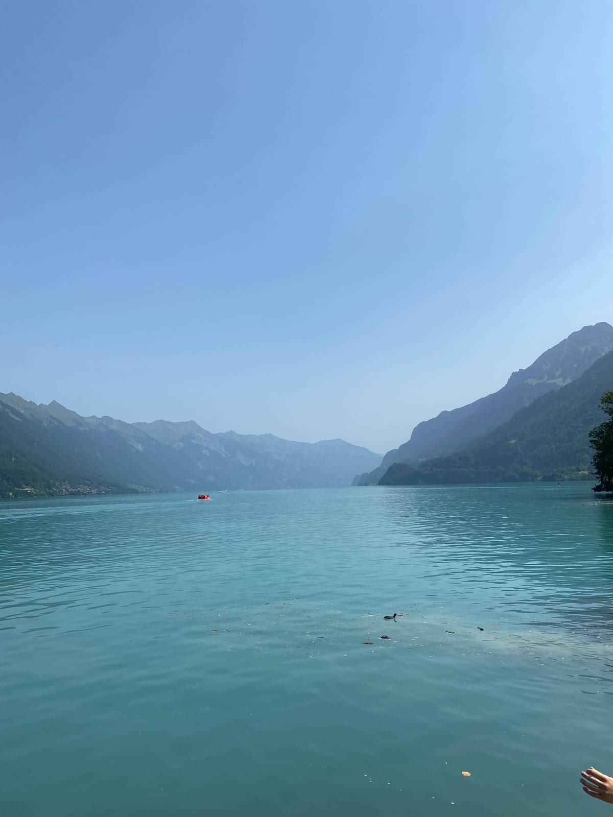 Interlaken: Scenic Jetboat Ride on Lake Brienz