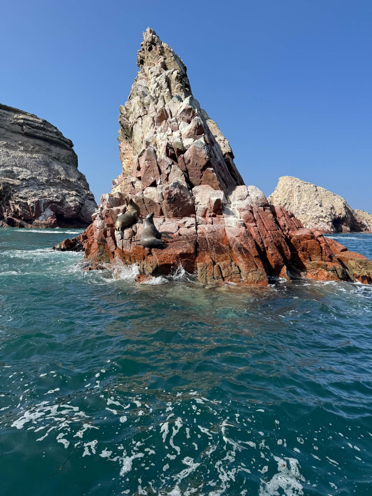 From Lima: Day trip to Paracas, Ica and Oasis Huacachina