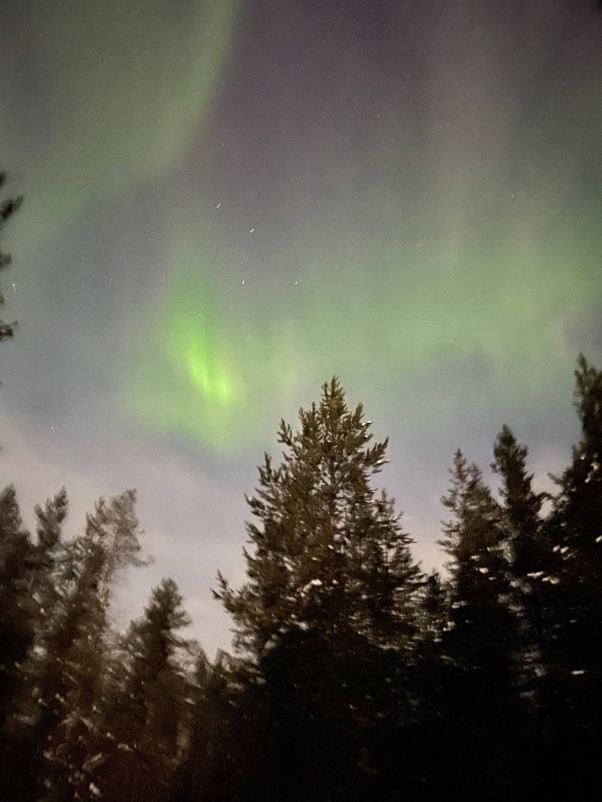 Saariselkä: Northern Lights and Reindeer Sledding Tour