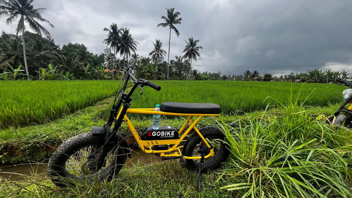 Ubud: Rice Terraces & Villages Half-Day Fat Tire E-Bike Tour