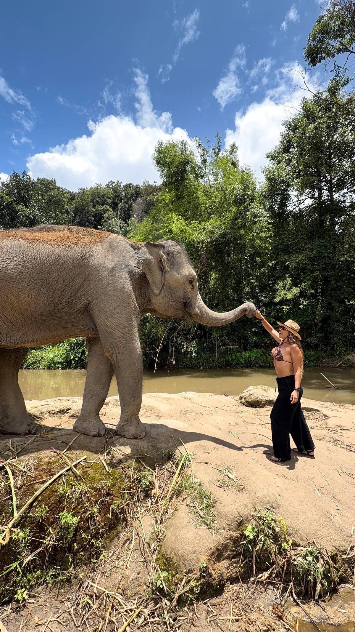 Chiang Mai: Elephant Sanctuary, Waterfall & Bamboo Rafting