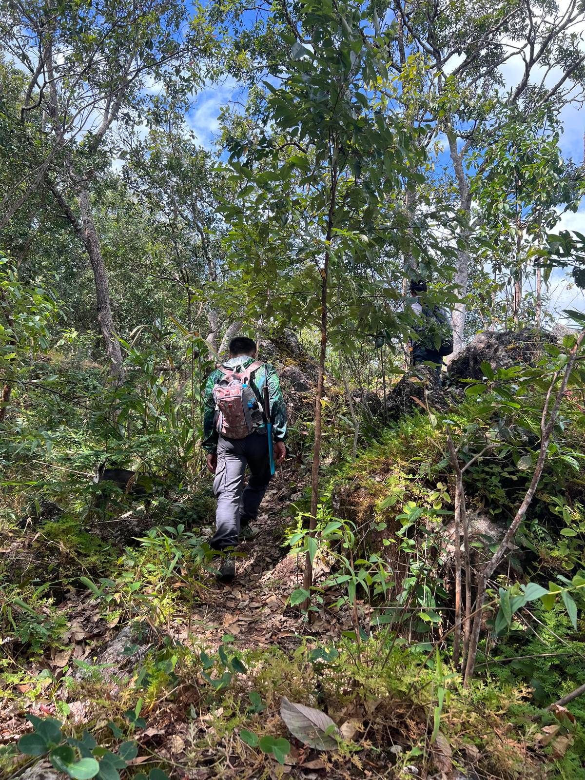 Chiang Mai: 2-Day Jungle Trek with Elephant Farm & Raft Ride