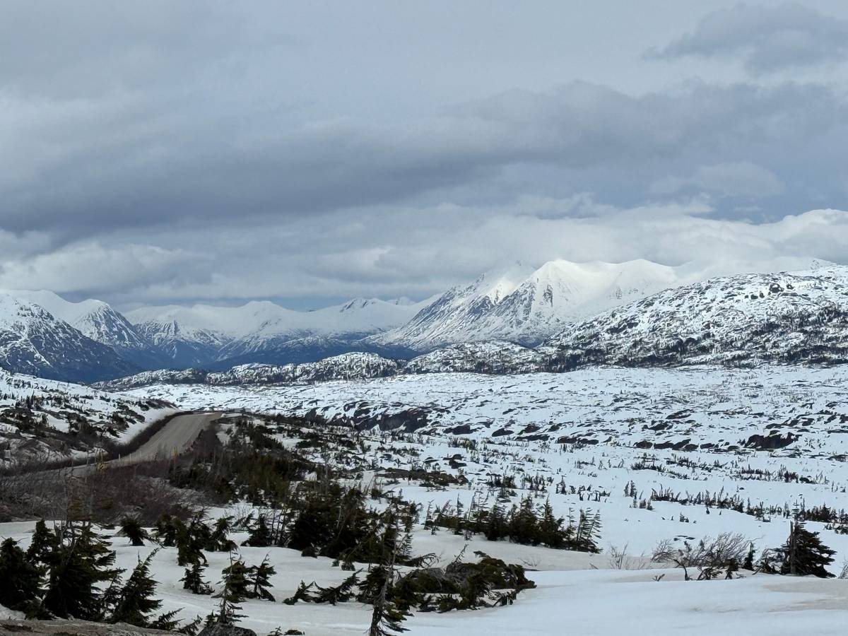 From Skagway: White Pass and Yukon Suspension Bridge Tour