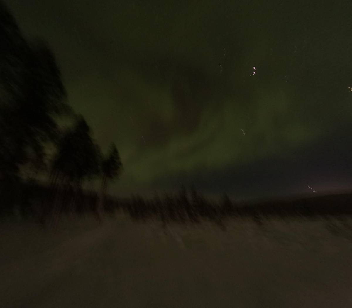 Saariselkä: Husky Safari with an Aurora Hunt