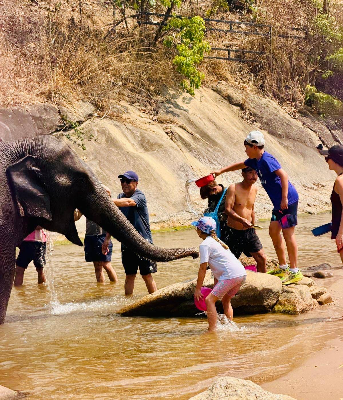 Chiang Mai: Doi Inthanon and Elephant Sanctuary Tour