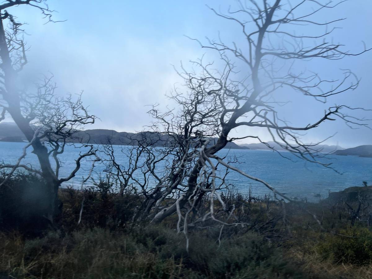 Torres del Paine and Grey Glacier boat day