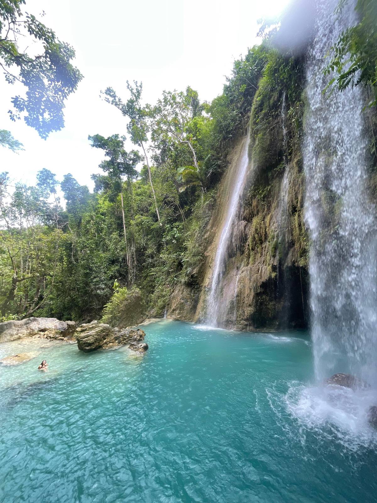 Cebu Oslob Whaleshark, Moalboal Sardines Run&Inambakan Falls