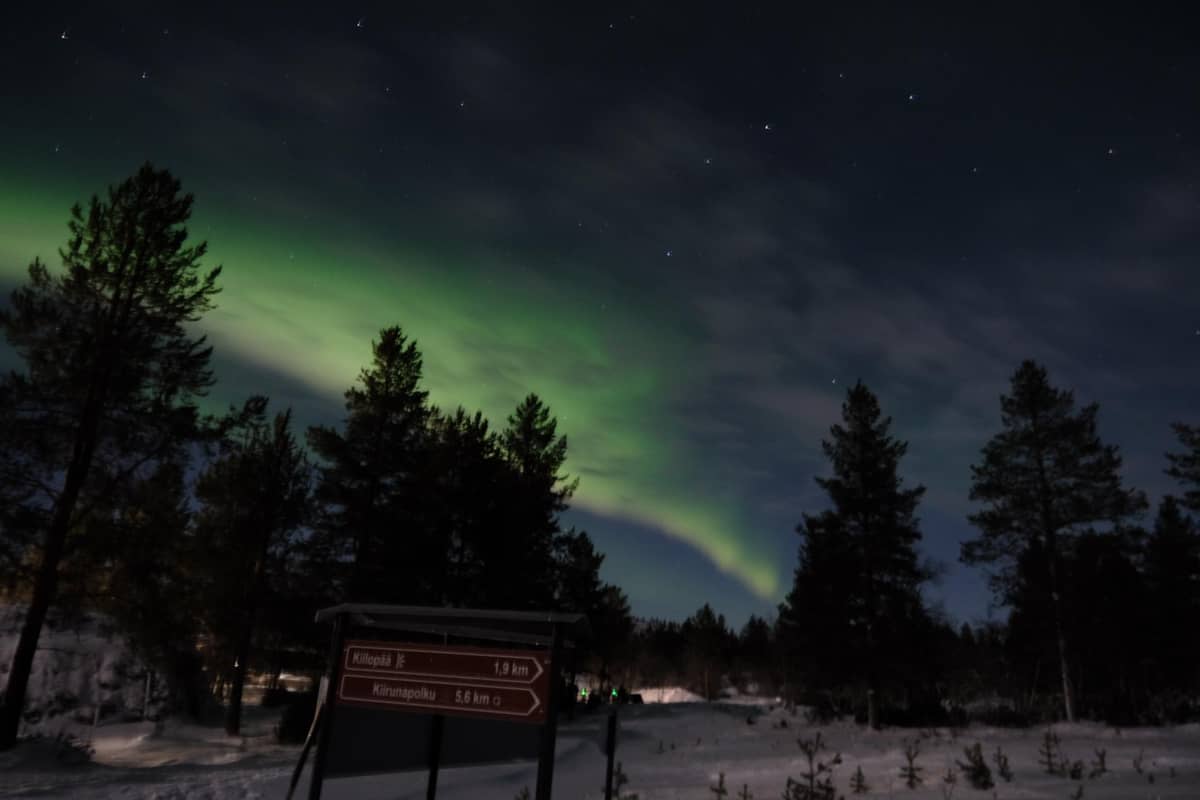 Saariselkä and Kakslauttanen: Aurora Hunt and Photography Tour