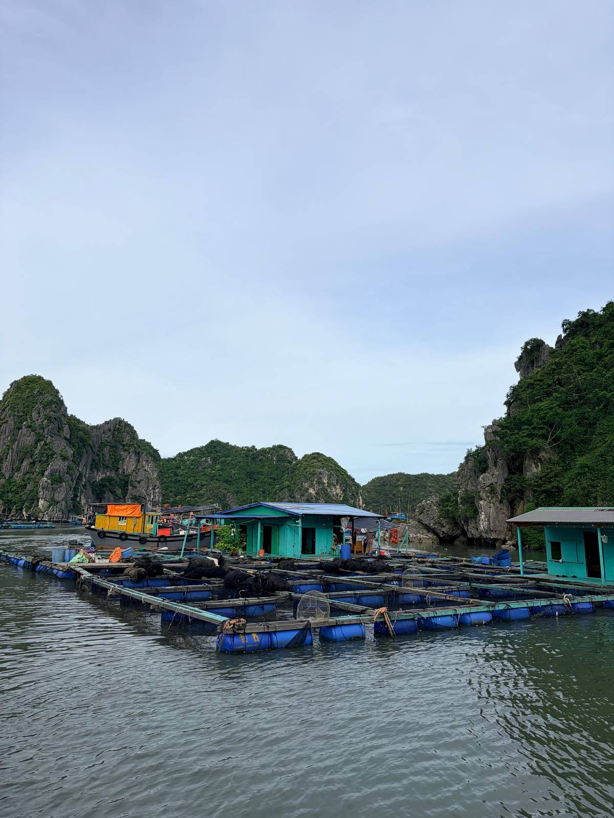 Cat Ba: Lan Ha, HaLong bay full day- biking, kayaking, lunch