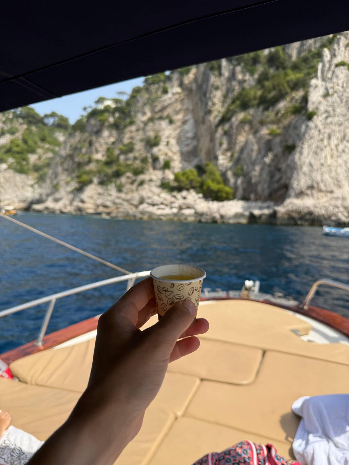 Capri: Small Group Boat Tour of the Grottoes with a Swim and Limoncello