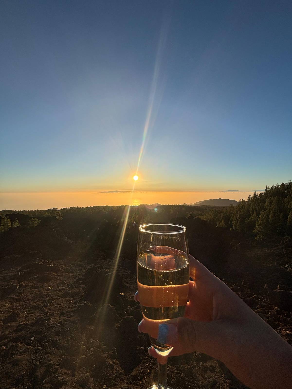 A glass of sparkling wine held up against the low sun
