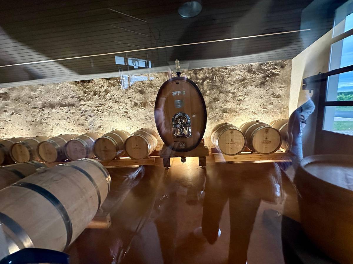 Saint-Émilion private wine tours
