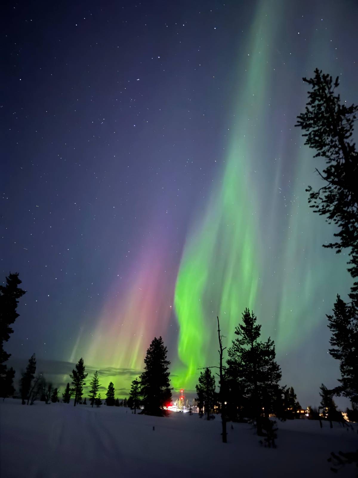 Saariselkä: Evening Snowmobile Tour with Fire & picnic