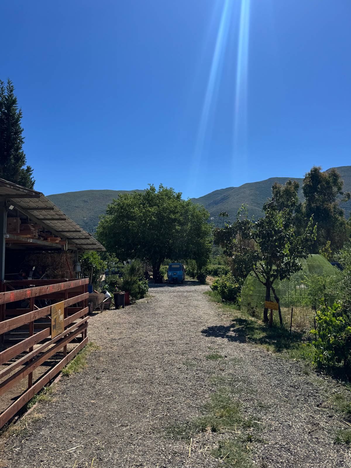 Zakynthos: Off-Road Jeep Tour