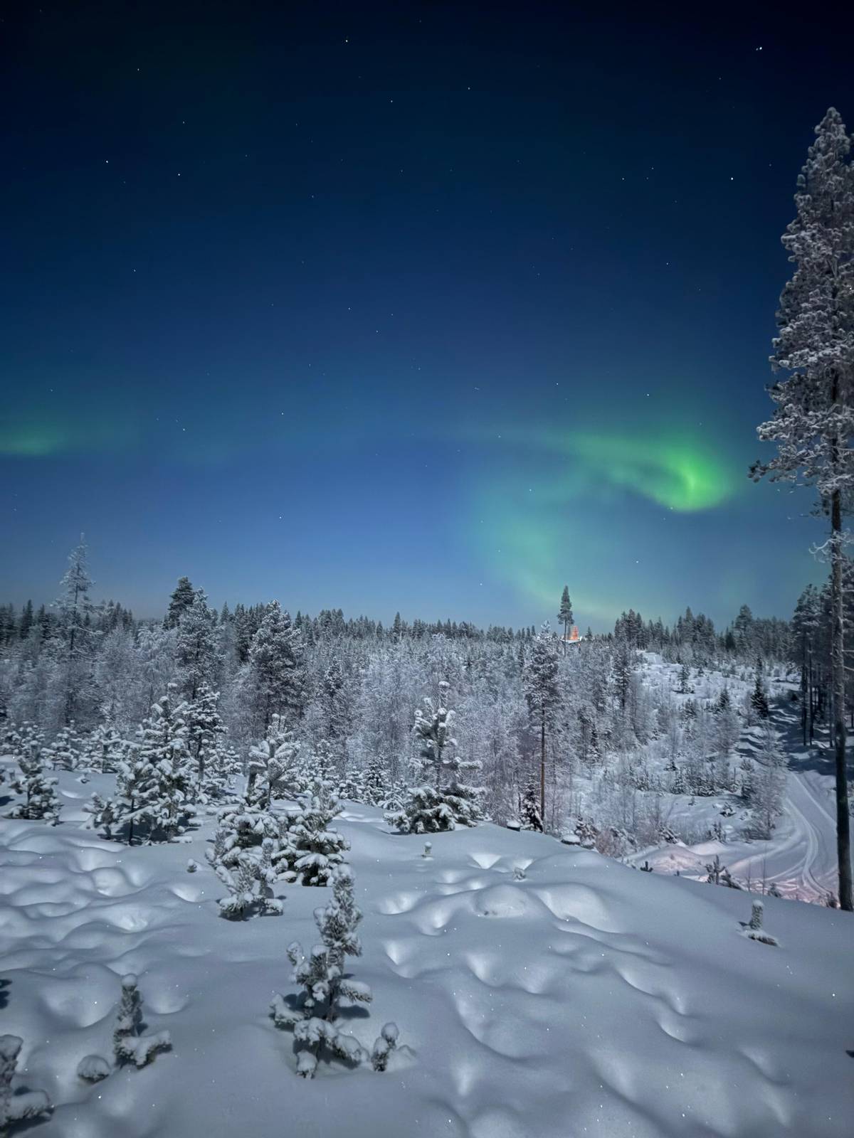 Rovaniemi: Best & Original Aurora Experience with Pro Photos