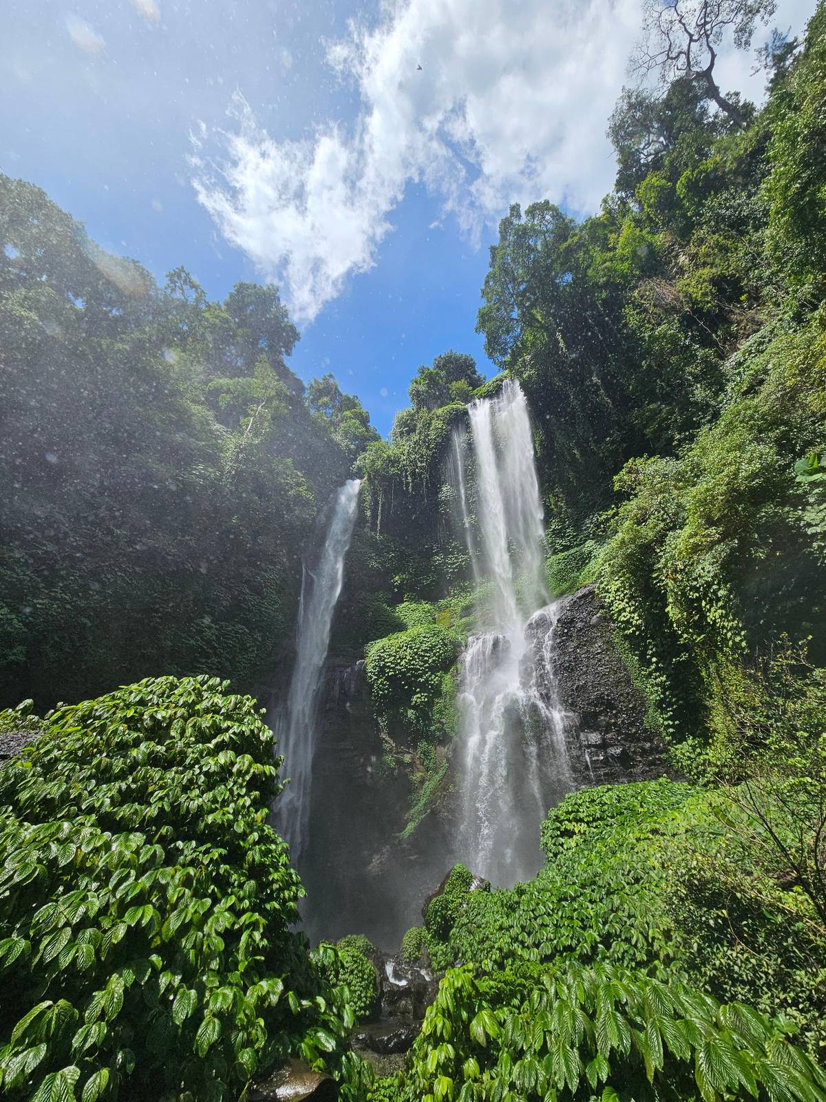 Ubud private driver or a set day tour? The options compared