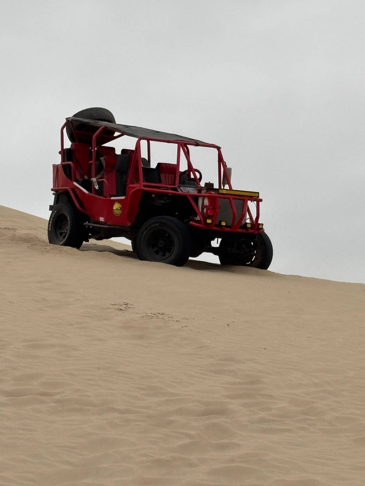 From Paracas: Mini Buggy Tour & Sandboarding at Oasis