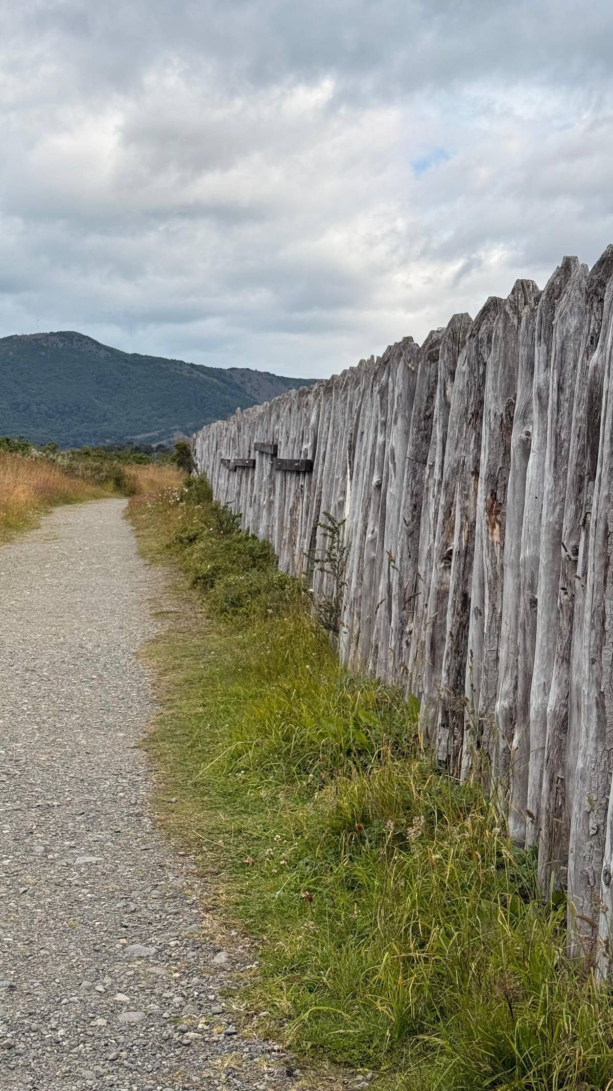 Punta Arenas: Fort Bulnes & Strait of Magellan Tour